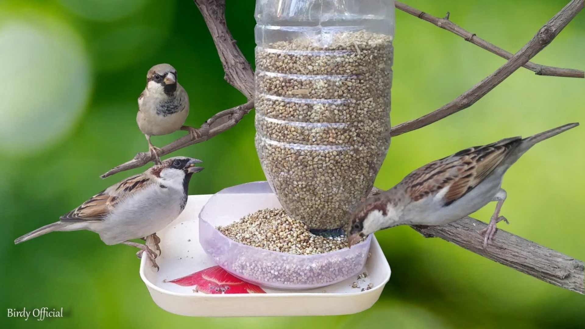 Einfache Vogelfutterstellen - DIY Upcycling im Garten